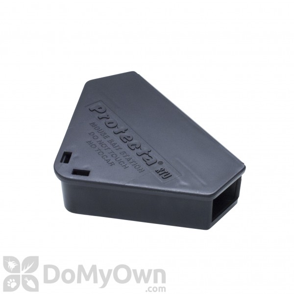 Detail Triangle Mouse Trap Nomer 3