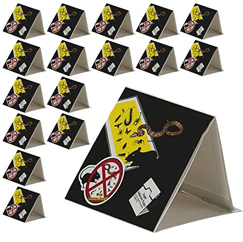 Detail Triangle Mouse Trap Nomer 21