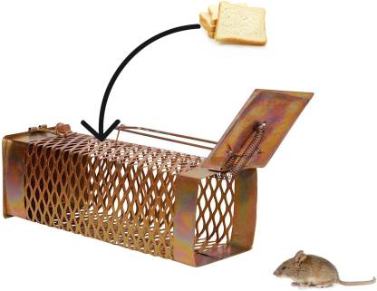 Detail Triangle Mouse Trap Nomer 24