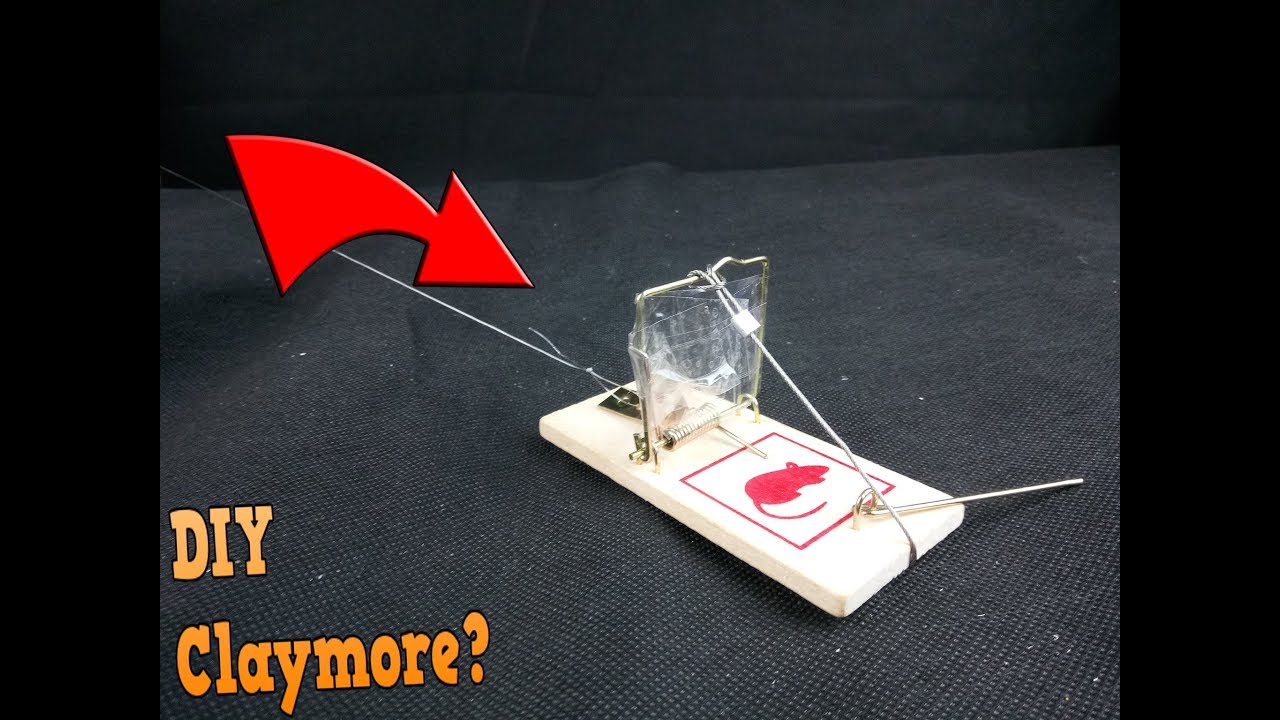 Detail Triangle Mouse Trap Nomer 28