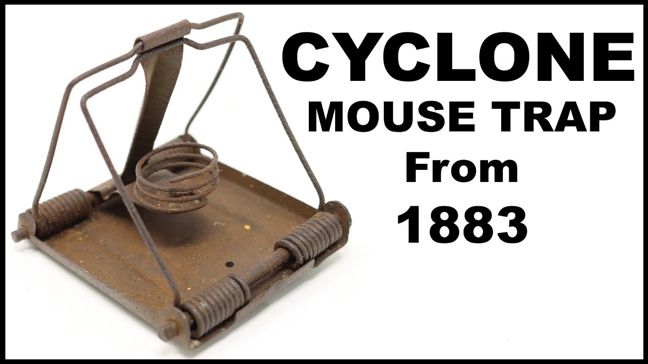 Detail Triangle Mouse Trap Nomer 29