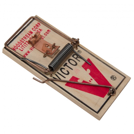 Detail Triangle Mouse Trap Nomer 30