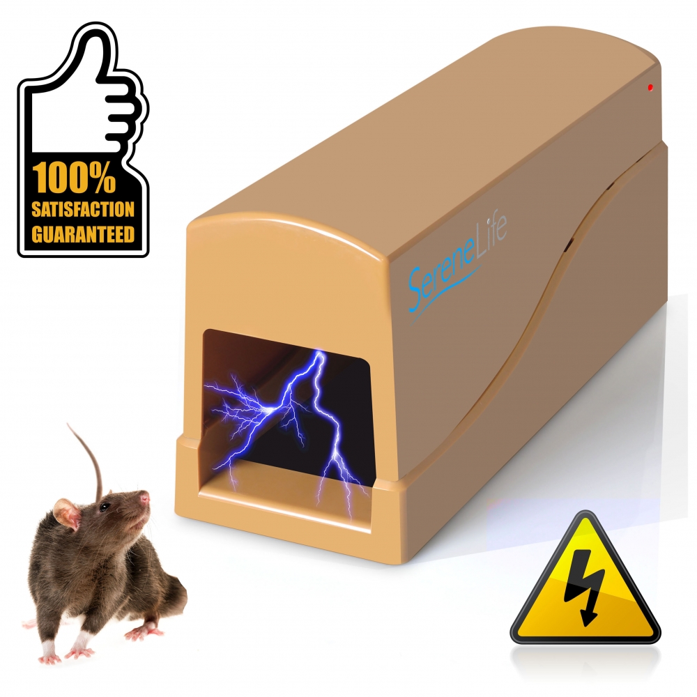 Detail Triangle Mouse Trap Nomer 33