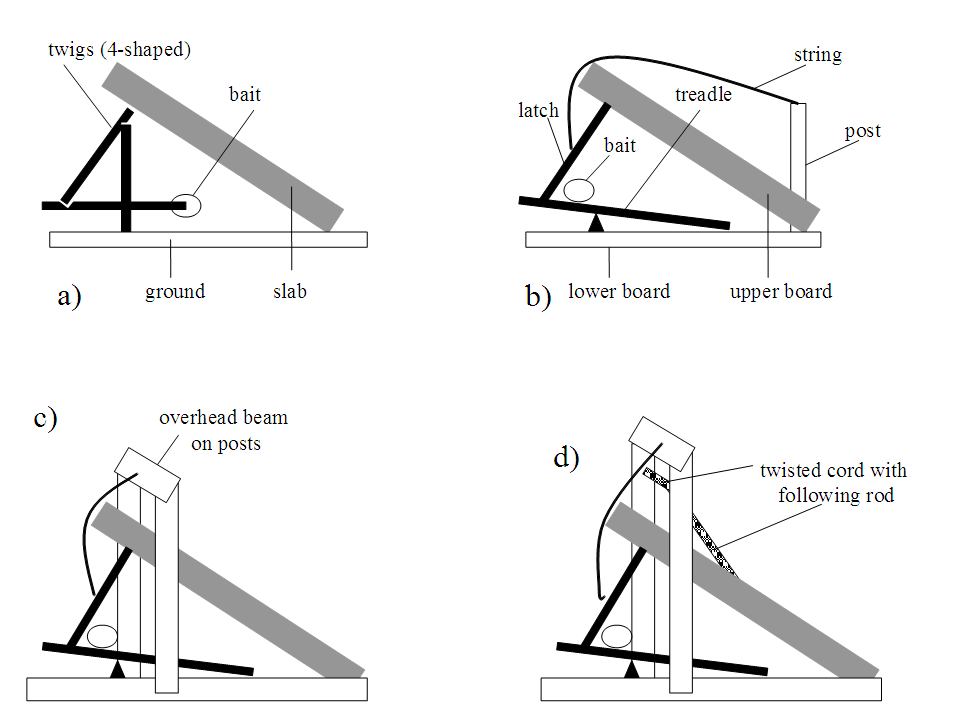 Detail Triangle Mouse Trap Nomer 34
