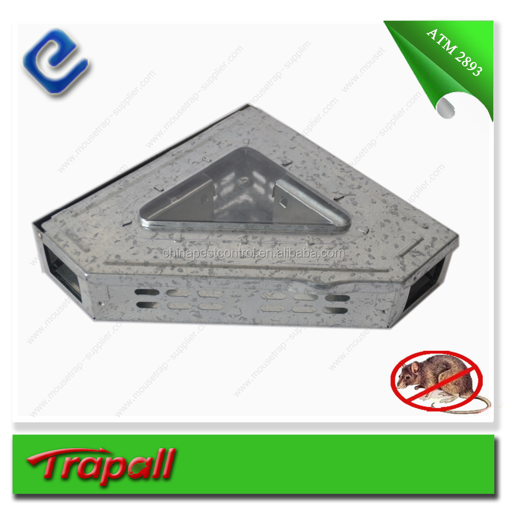 Detail Triangle Mouse Trap Nomer 36