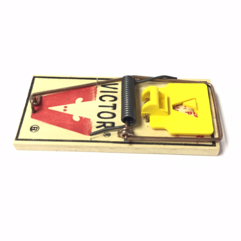 Detail Triangle Mouse Trap Nomer 38