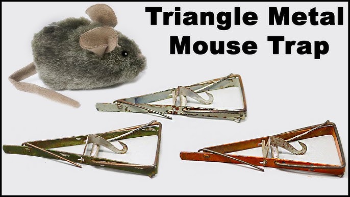 Detail Triangle Mouse Trap Nomer 5