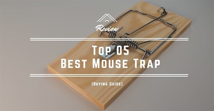 Detail Triangle Mouse Trap Nomer 46