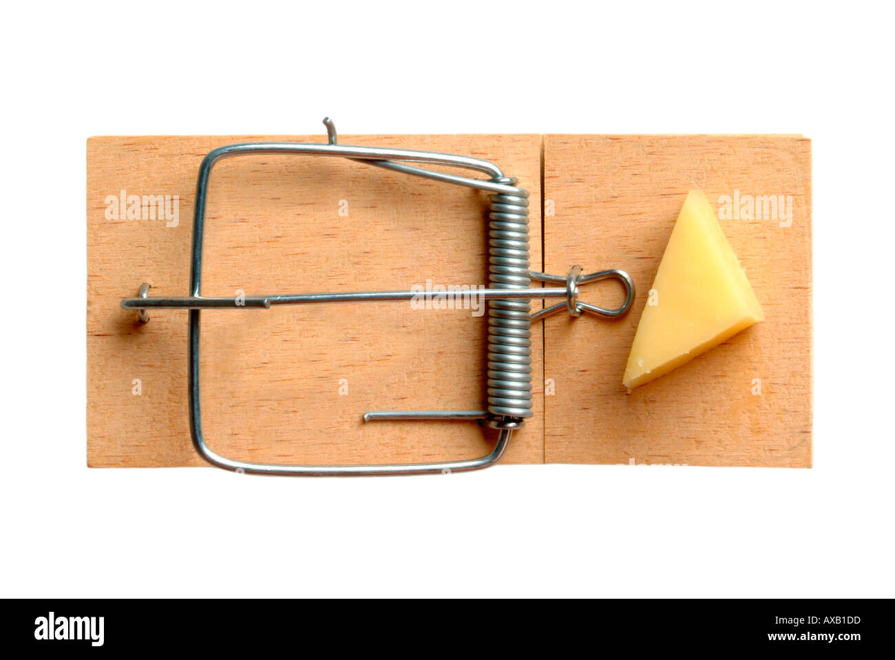 Detail Triangle Mouse Trap Nomer 48
