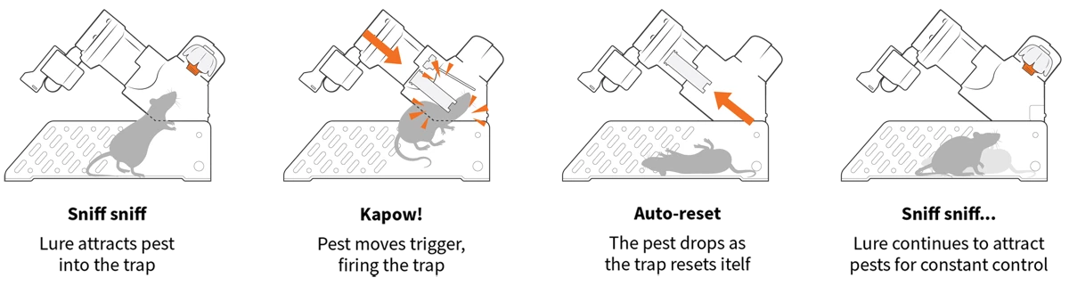 Detail Triangle Mouse Trap Nomer 51