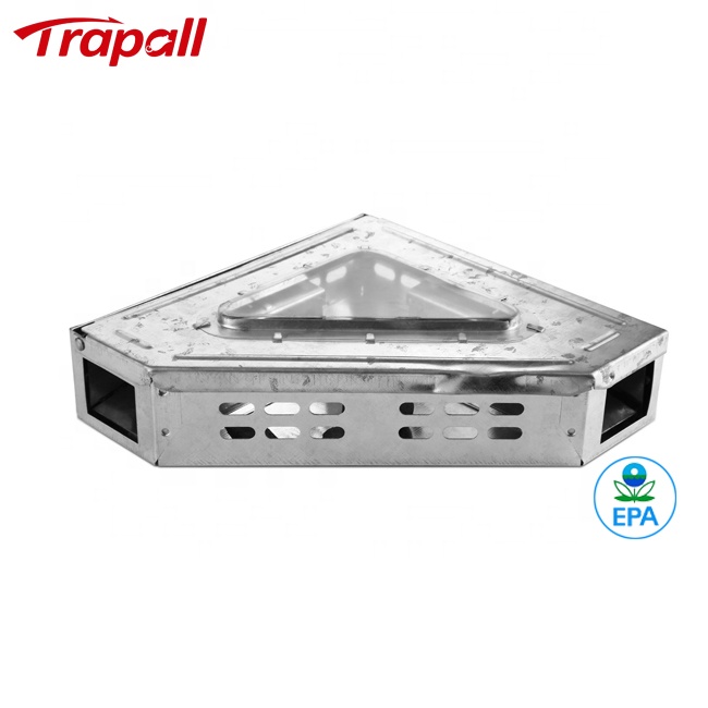 Detail Triangle Mouse Trap Nomer 56