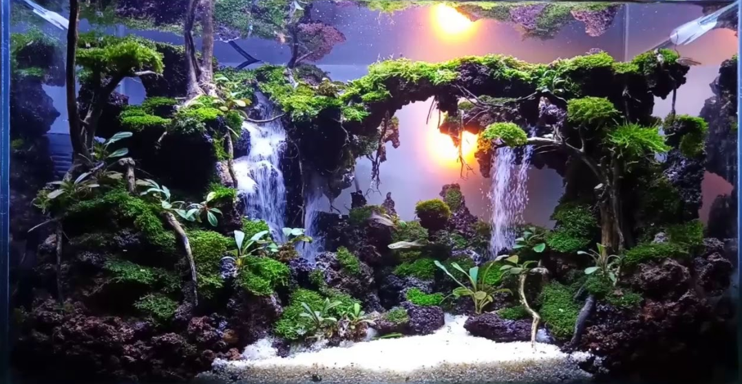 Detail Trik Membuat Air Terjun Pasir Di Aquarium Nomer 22