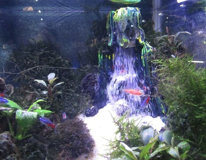 Detail Trik Membuat Air Terjun Pasir Di Aquarium Nomer 37