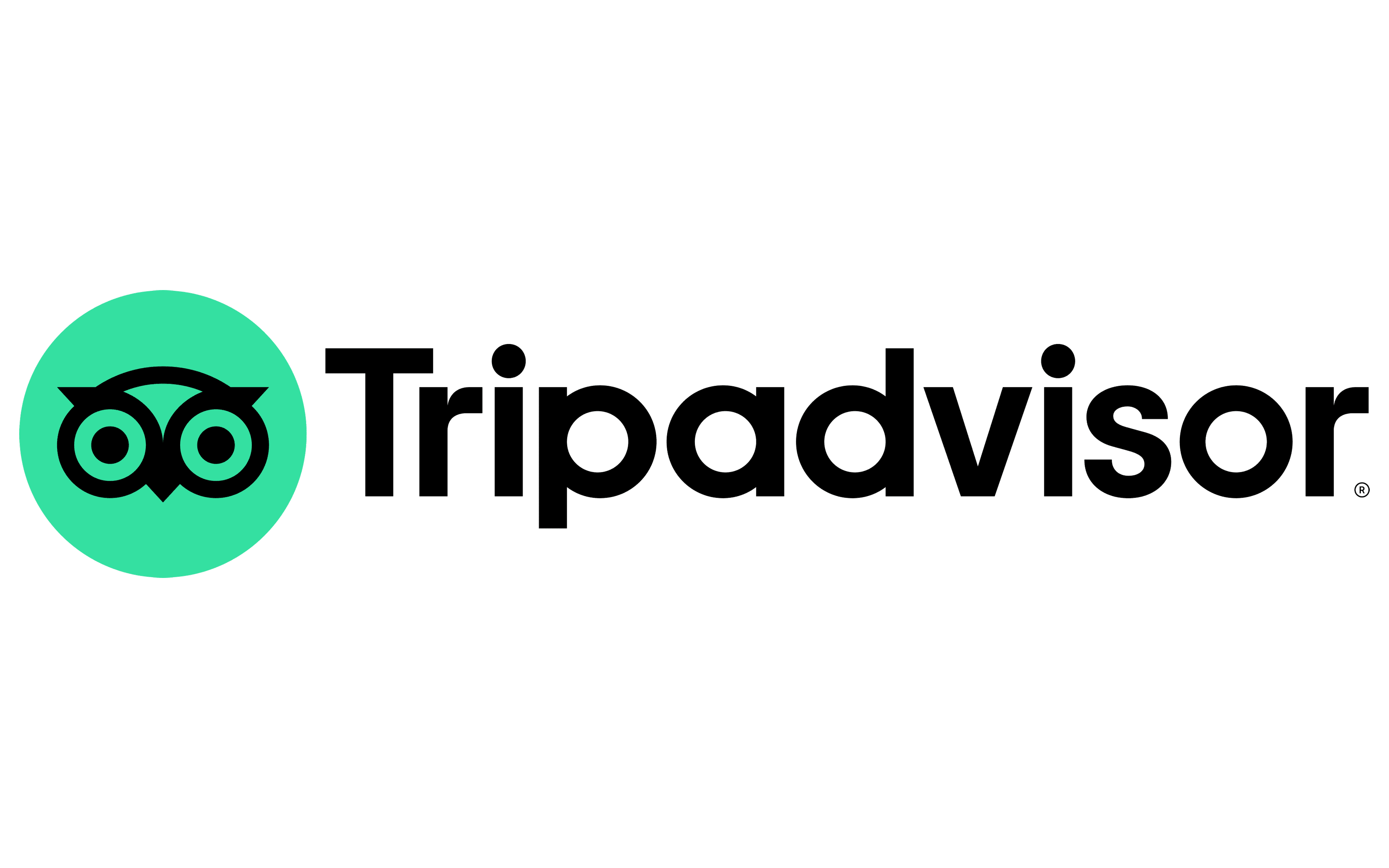 Detail Tripadvisor Logo Nomer 2