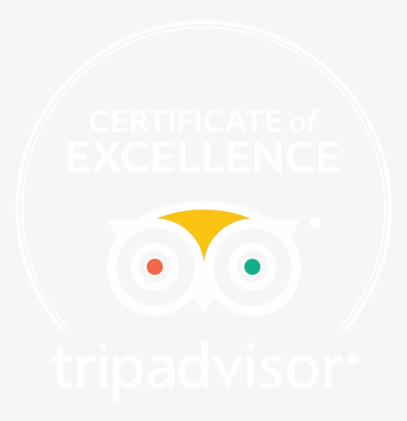 Detail Tripadvisor Logo Transparent Nomer 37