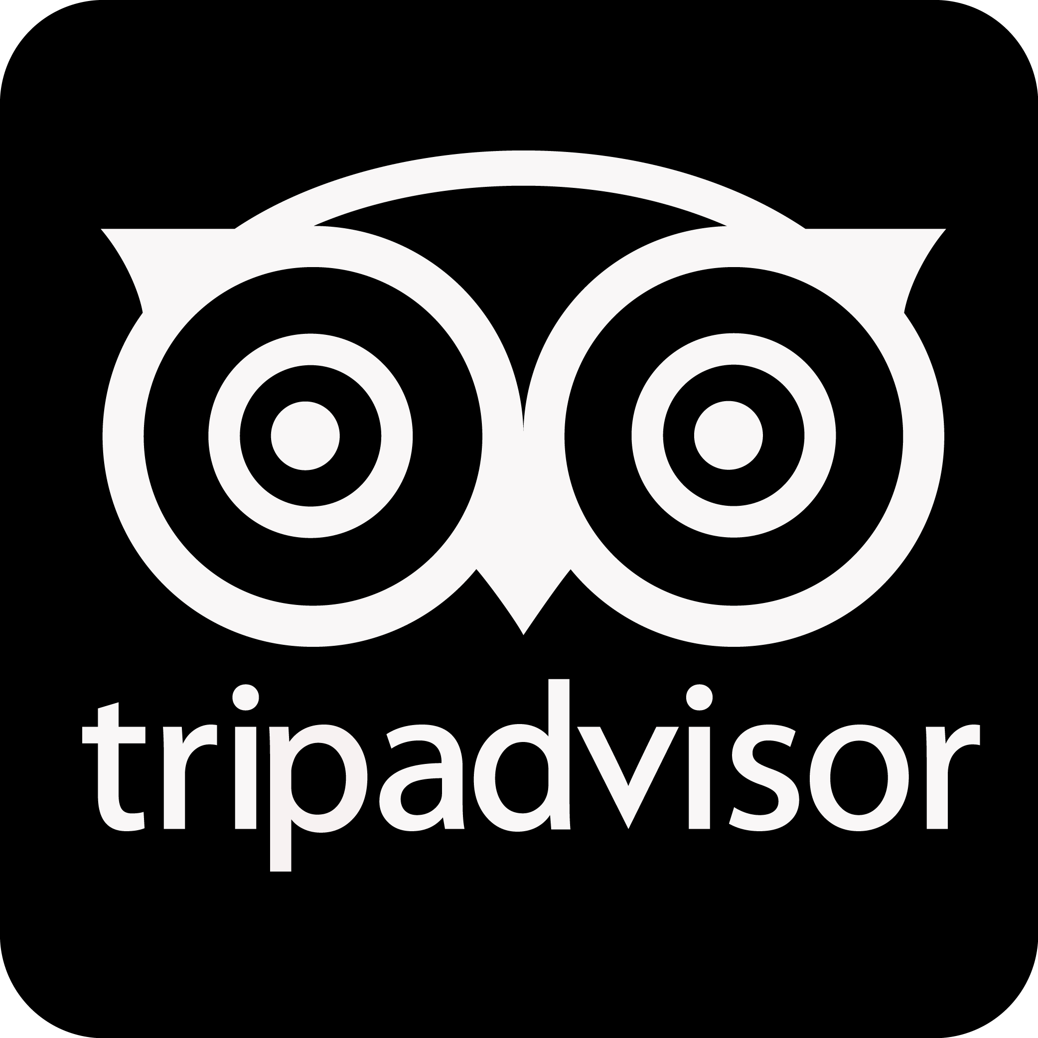 Detail Tripadvisor Logo Vector Nomer 20