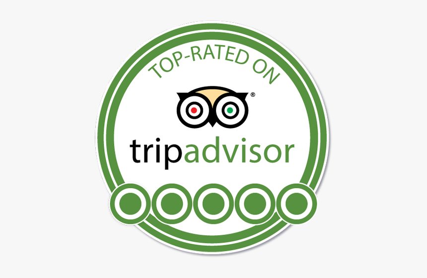 Detail Tripadvisor Logo Vector Nomer 29