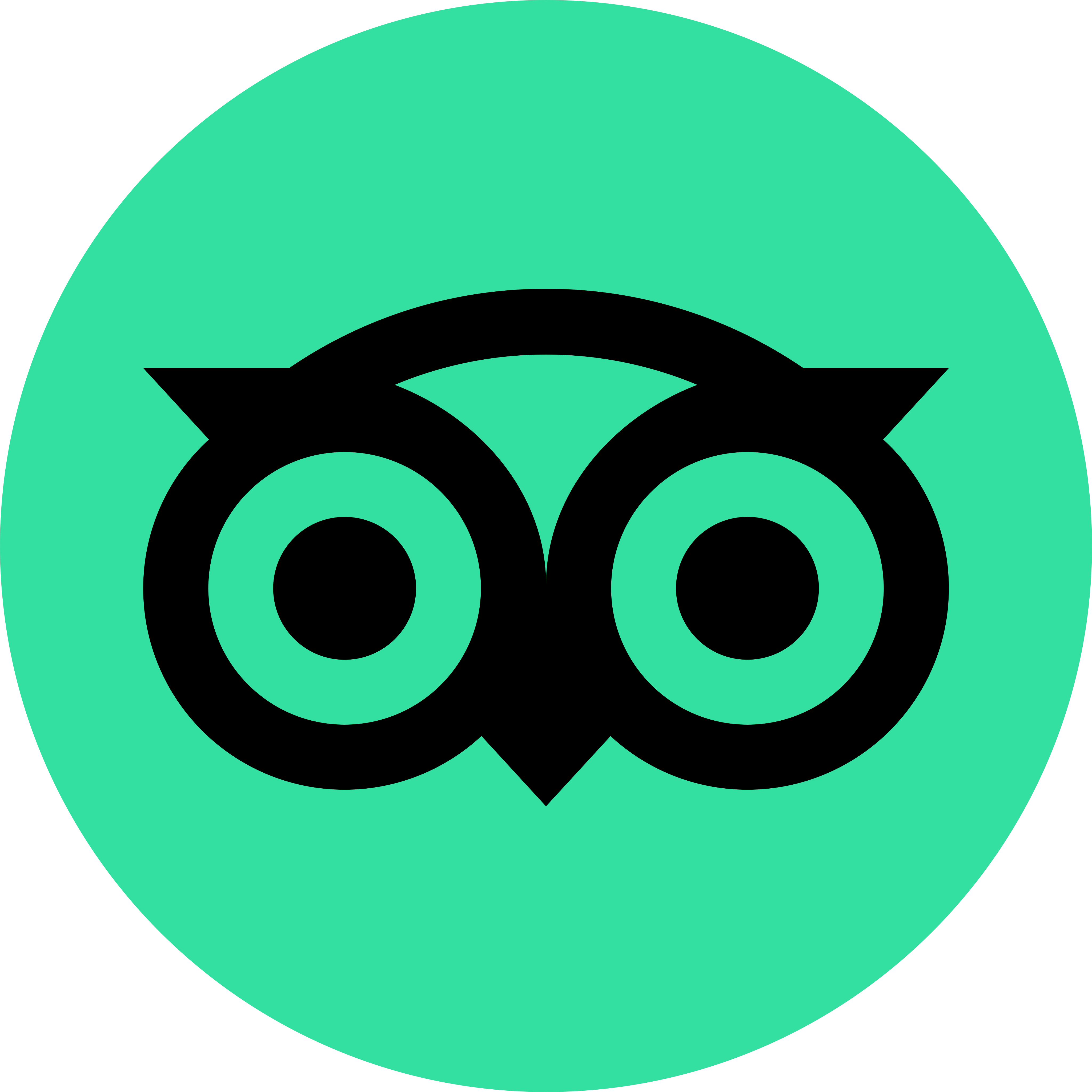 Detail Tripadvisor Logo Vector Nomer 5