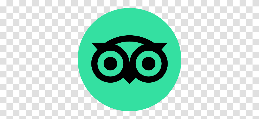 Detail Tripadvisor Logo Vector Nomer 36