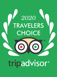 Detail Tripadvisor Logo Vector Nomer 37