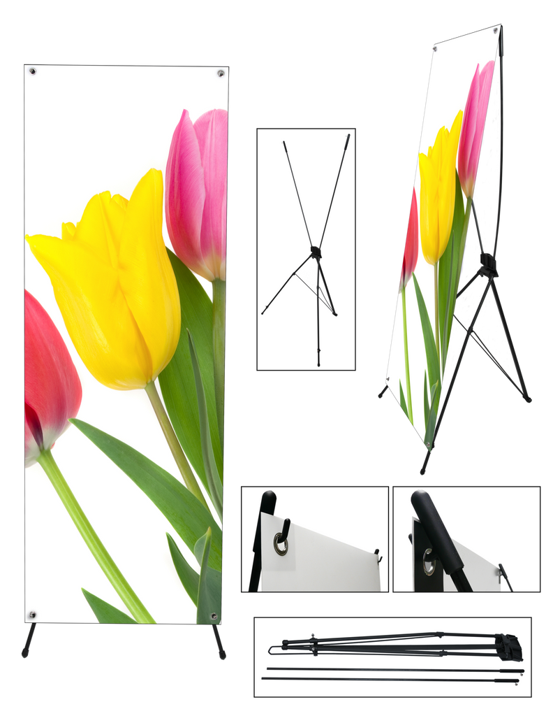 Detail Tripod Banner Png Nomer 44