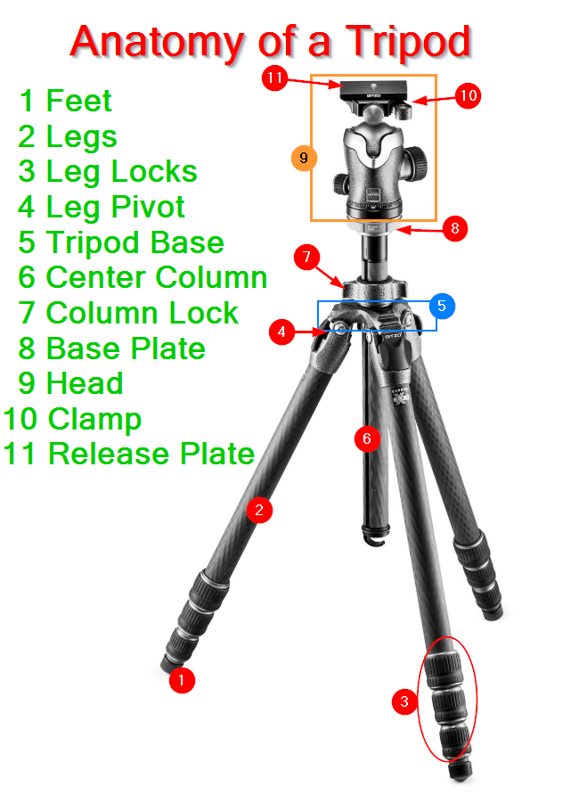 Detail Tripod Image Nomer 35