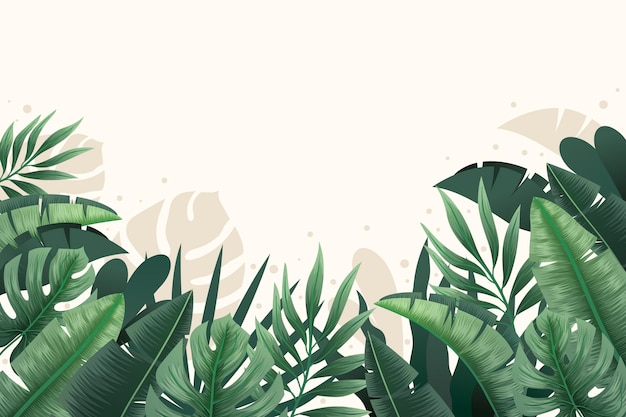 Detail Tropical Background Hd Nomer 11