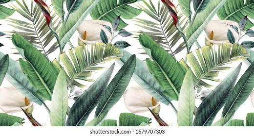 Detail Tropical Background Hd Nomer 24