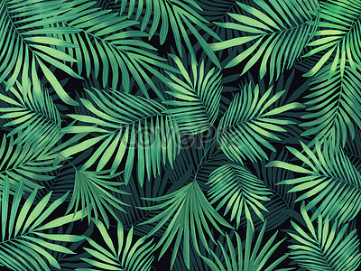 Detail Tropical Background Hd Nomer 5