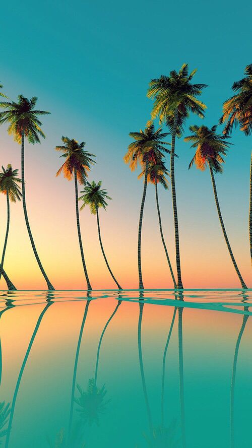 Detail Tropical Background Hd Nomer 45