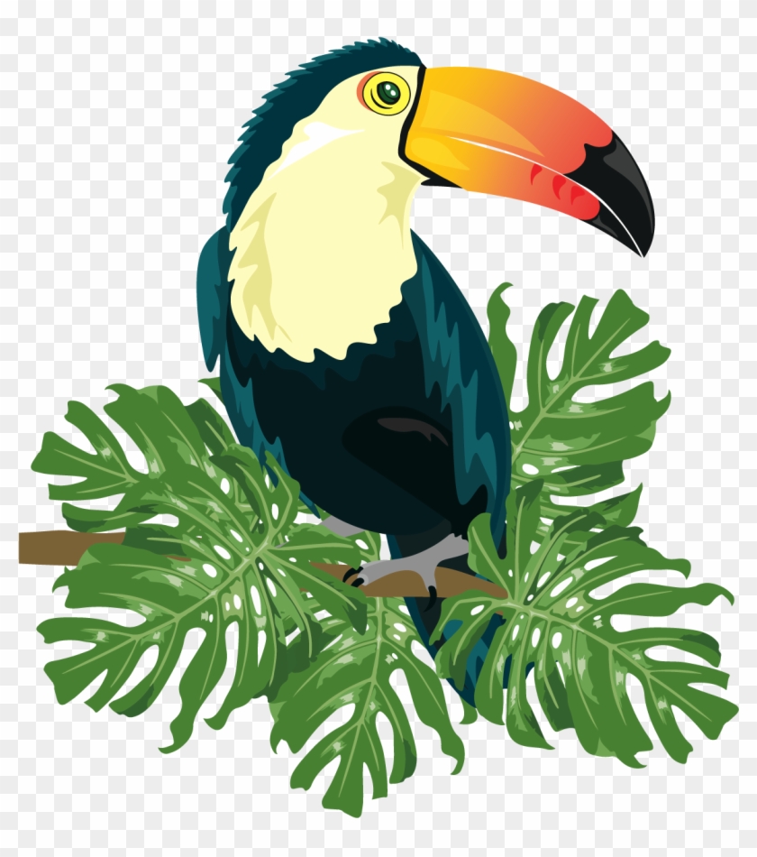 Detail Tropical Bird Png Nomer 10