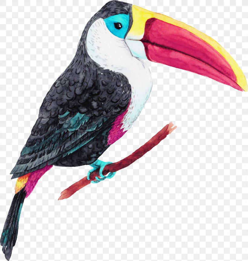 Detail Tropical Bird Png Nomer 26
