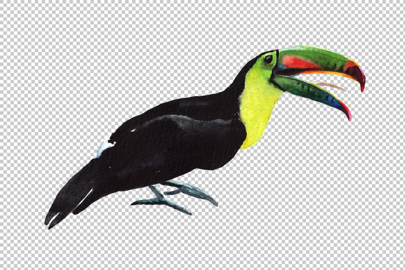 Detail Tropical Bird Png Nomer 53
