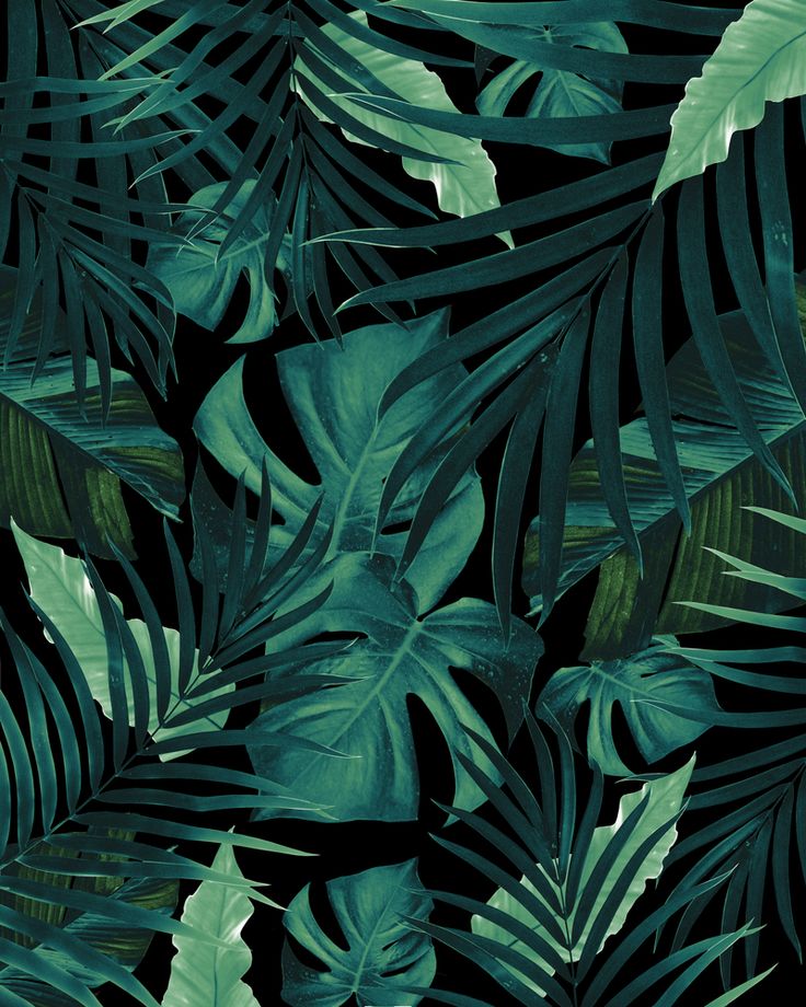 Detail Tropical Jungle Wallpaper Nomer 12