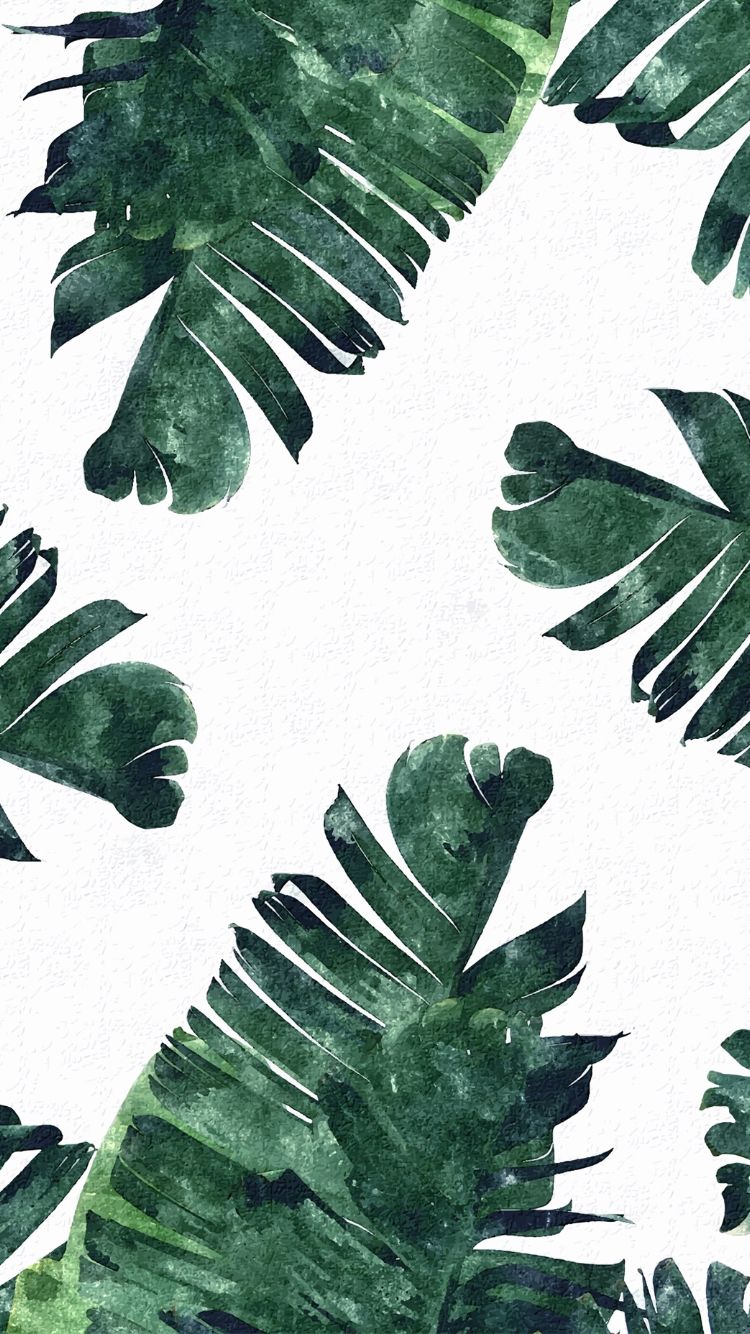 Detail Tropical Leaves Tumblr Nomer 14