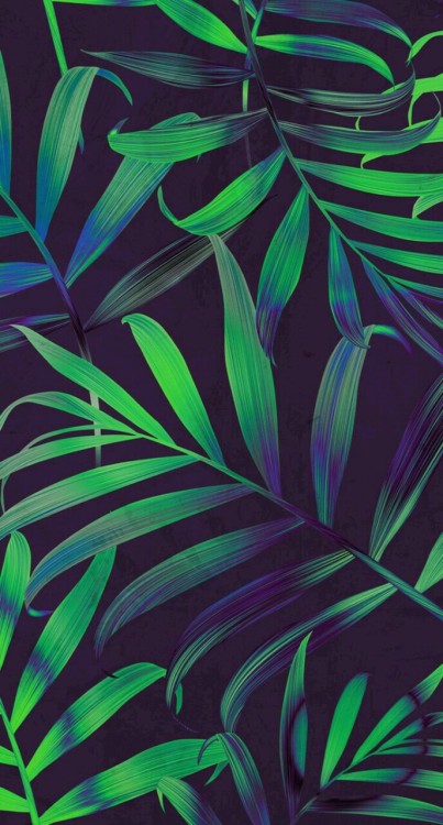 Detail Tropical Leaves Tumblr Nomer 56