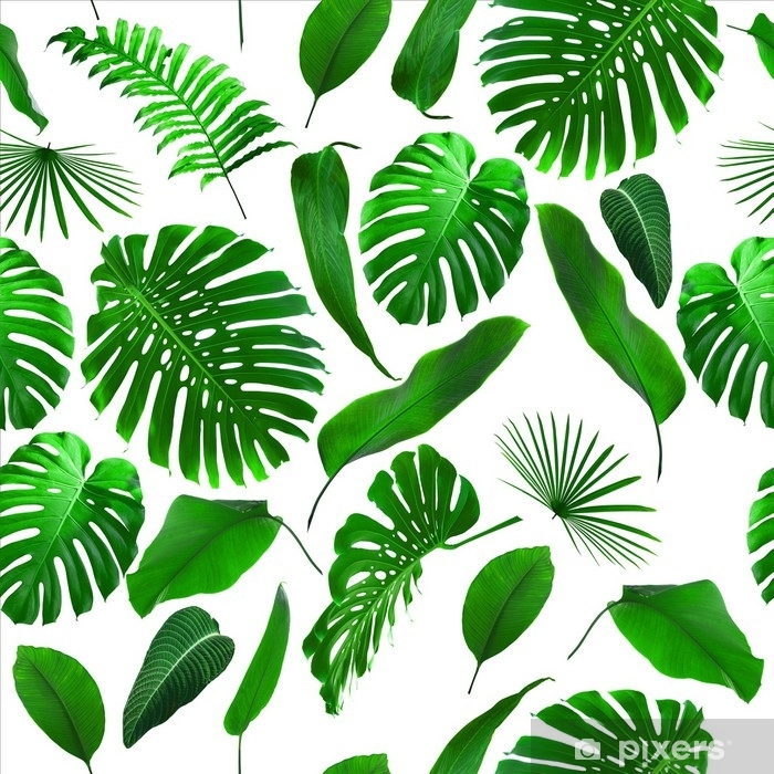 Detail Tropical Pattern Hd Nomer 41
