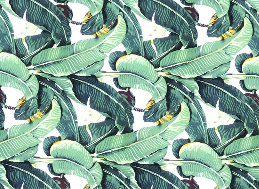 Detail Tropical Pattern Hd Nomer 43