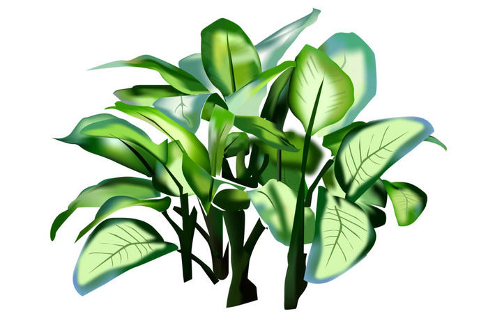 Detail Tropical Plant Png Nomer 22