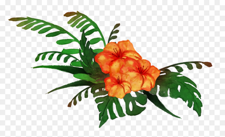 Detail Tropical Plant Png Nomer 31