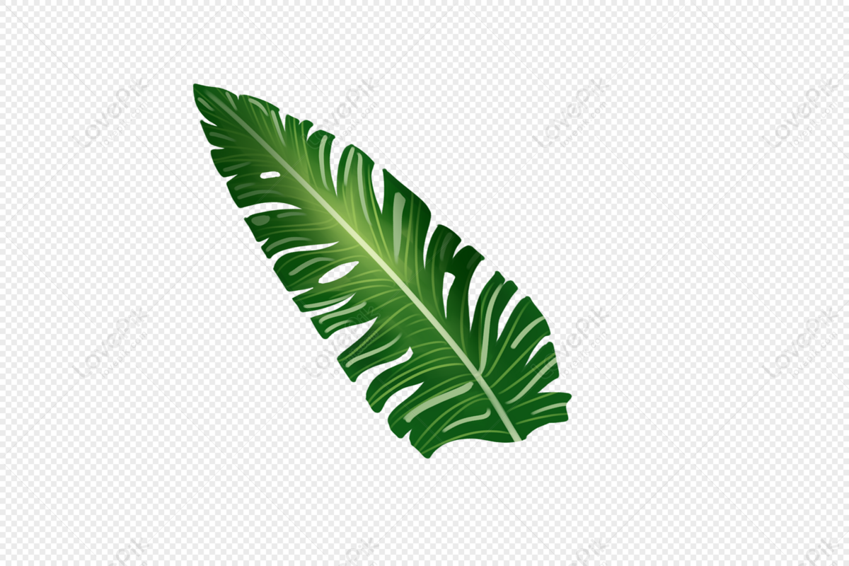 Detail Tropical Plant Png Nomer 49