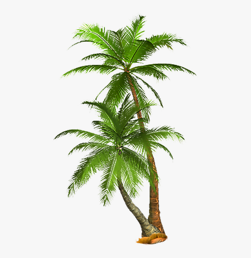 Tropical Tree Png - KibrisPDR