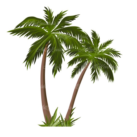 Detail Tropical Trees Png Nomer 2