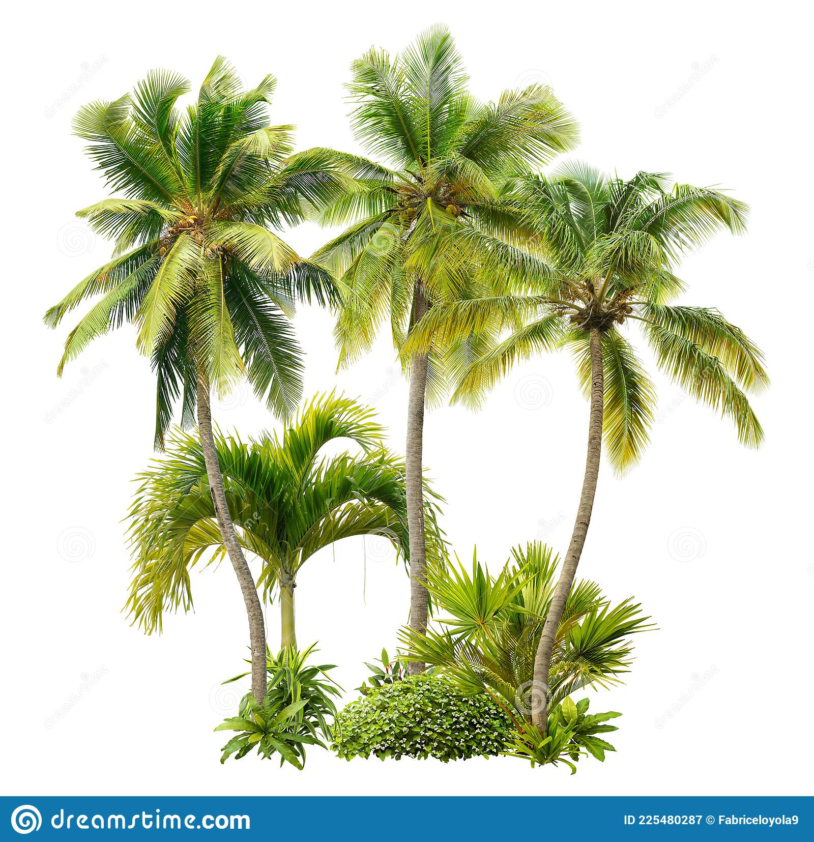 Detail Tropical Trees Png Nomer 15