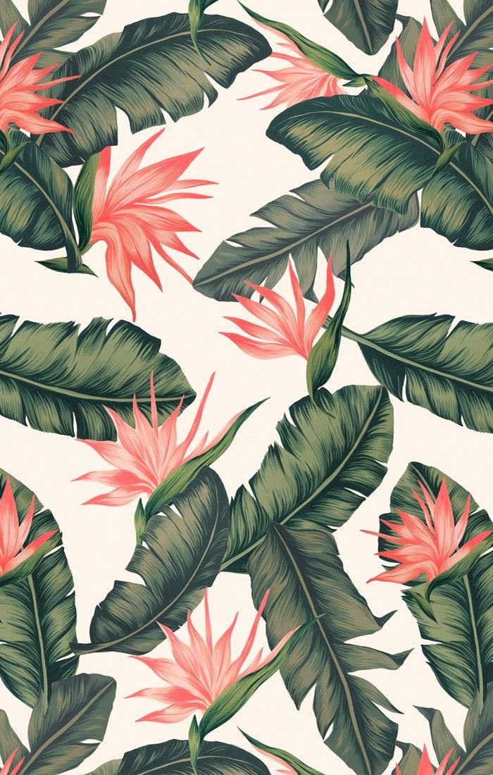 Detail Tropical Tumblr Backgrounds Nomer 2