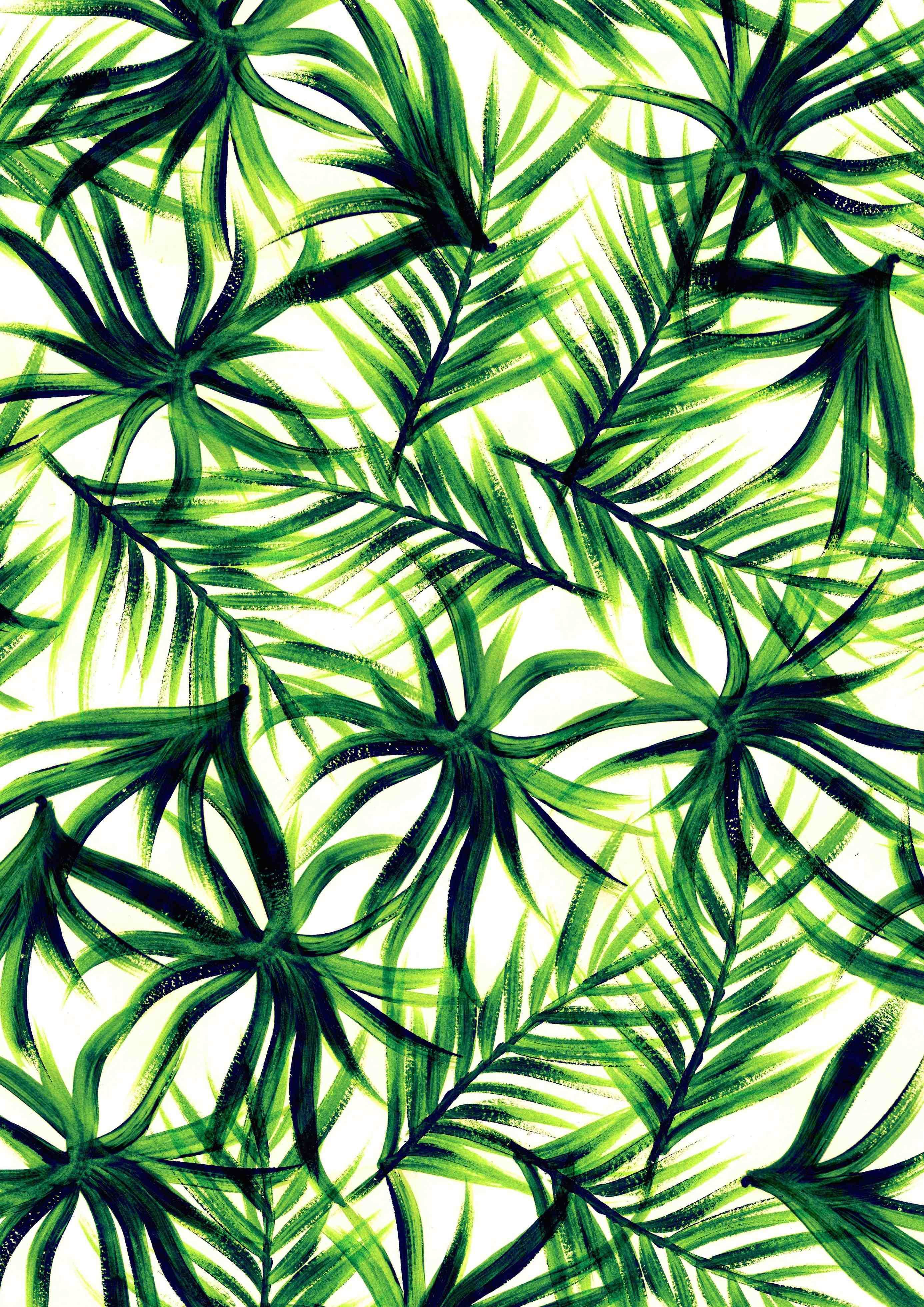 Detail Tropical Tumblr Backgrounds Nomer 38