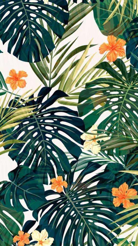 Tropical Tumblr Wallpaper - KibrisPDR