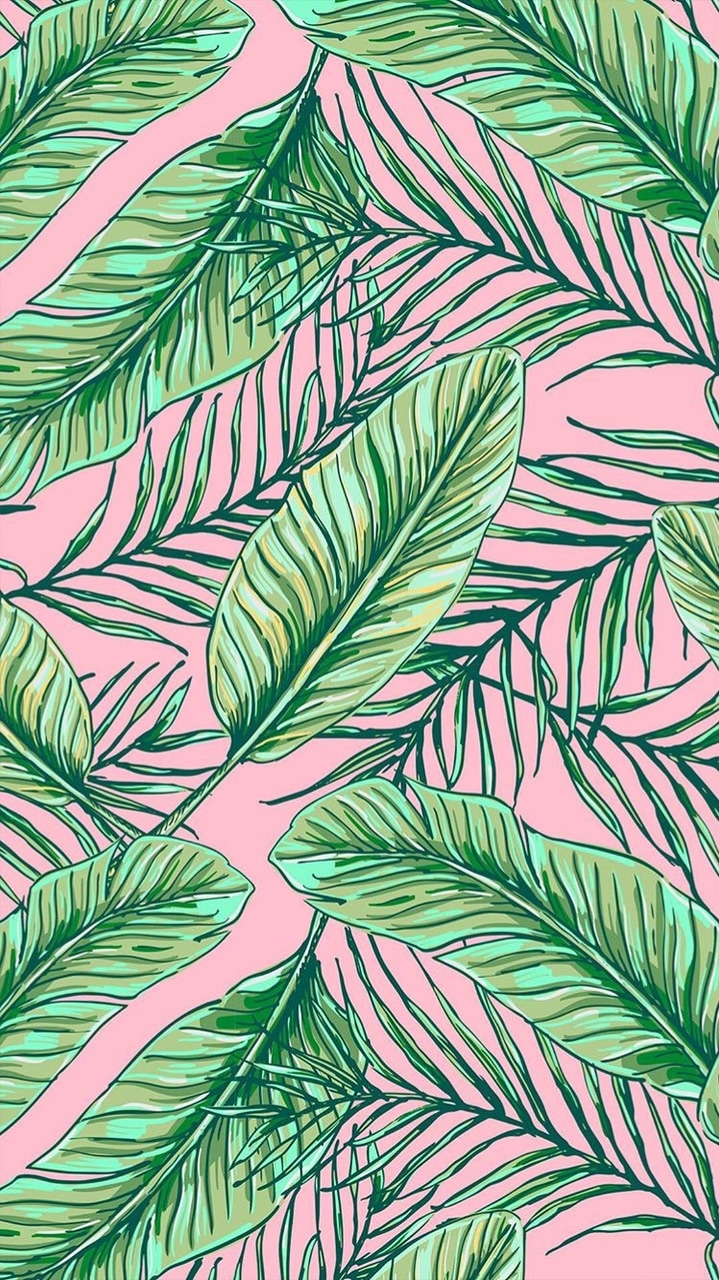 Detail Tropical Tumblr Wallpaper Nomer 16