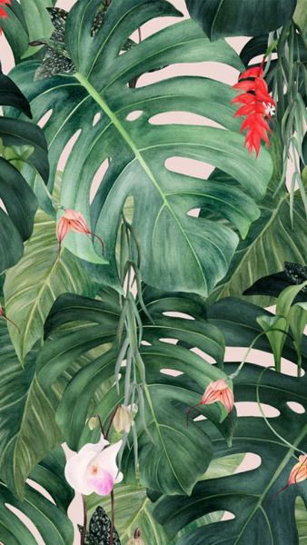 Detail Tropical Tumblr Wallpaper Nomer 18