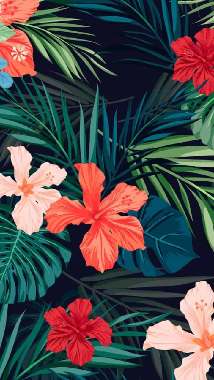 Detail Tropical Tumblr Wallpaper Nomer 26